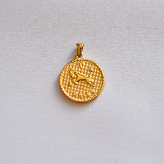 Aries medalla charm